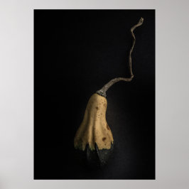 Póster Gourds No 12 Color Version