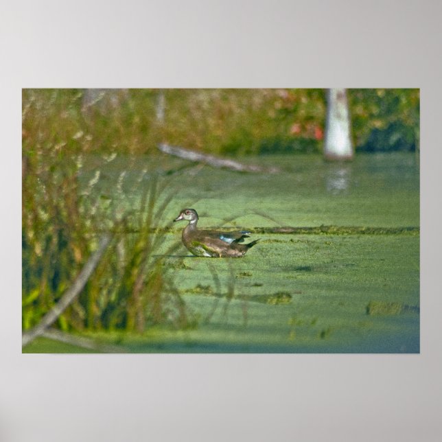 Póster gp0003 (Frente)