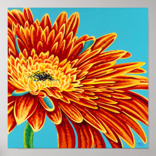 Póster Grabaciones de color I