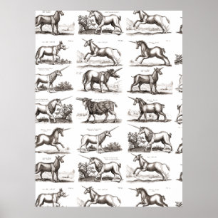 Póster Grabado Antiguo de Unicornio Especimen de Zoología