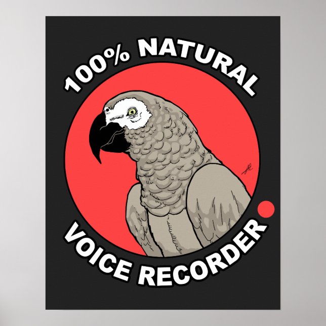 Póster Grabador de voz natural (Frente)