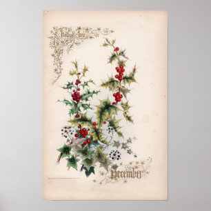 Póster Grabados botánicos, diciembre