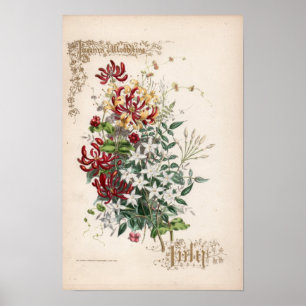 Póster Grabados botánicos, julio
