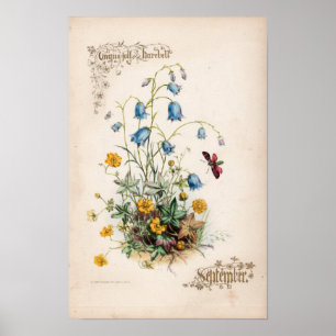 Póster Grabados botánicos, septiembre