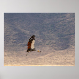 Póster Grace in Flight - Poster de grúa de coronado gris