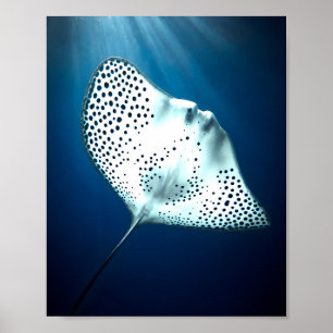 Póster Graceful Spoted Ray: Serenidad Subacuática