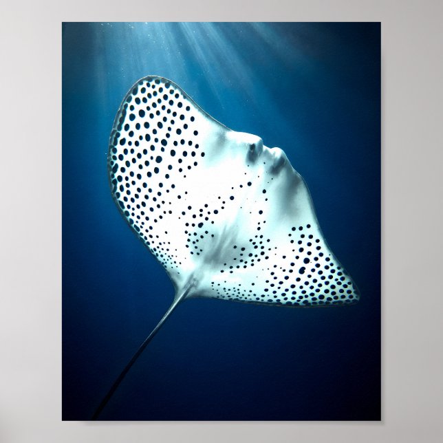 Póster Graceful Spoted Ray: Serenidad Subacuática (Frente)