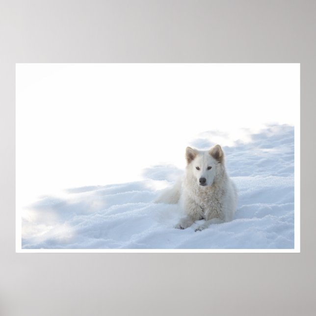 Póster Gracia (Frente)