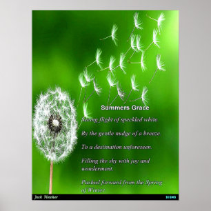 Póster Gracia de Verano