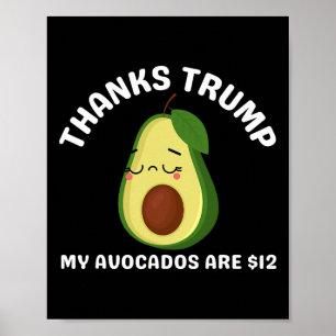 Póster Gracias Trump Mi Abogado Tiene $12 Anti Trump Terr