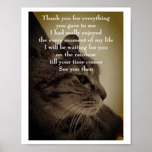 Póster Gracias y QEPD