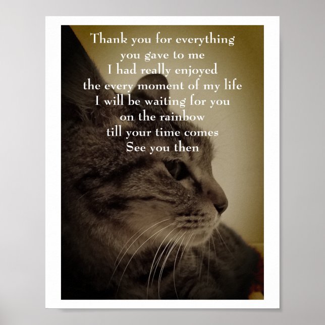 Póster Gracias y QEPD (Frente)