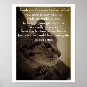 Póster Gracias y QEPD Poster