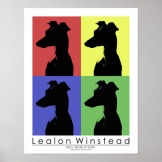 Póster Gracie Dreams of