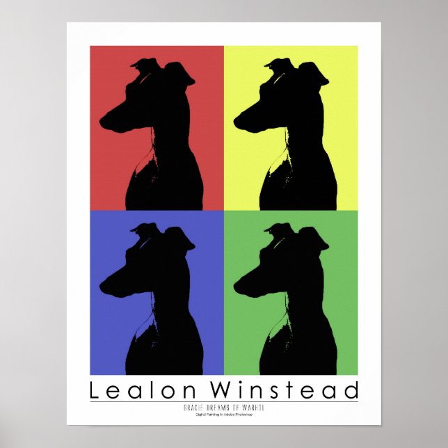 Póster Gracie Dreams of (Frente)