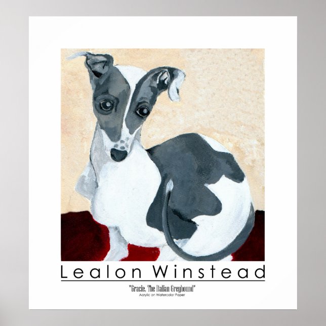 Póster Gracie, El Greyhound italiano (Frente)