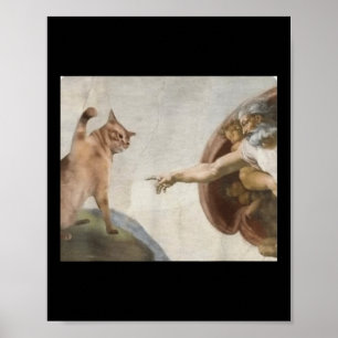 Póster Graciosa Creación De Dios De Adam Meme Michelangel