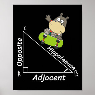 Póster Graciosa Geometría Hipo Skater Hipotenusa Math Boy