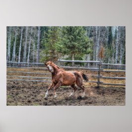 Póster Graciosa, juguetona de castaño Ranch Horse Equine 