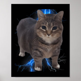 Póster Graciosa Oiia Oiia Meme de Gato Gato Gato Brainrot
