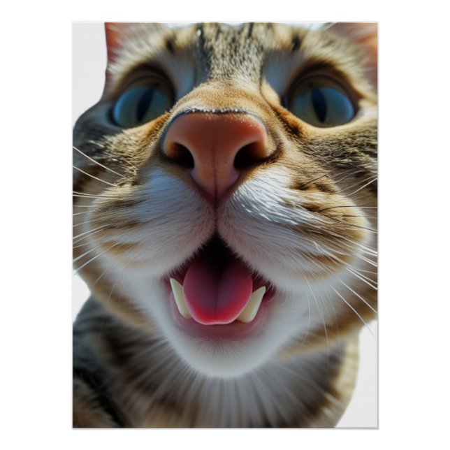Póster Gracioso Cierre De Gatos | Goofy Cute Cat Art (Anverso)