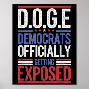 Póster Gracioso D.o.e. Doge Government Efficiency Usa Fla