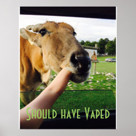 Póster Gracioso debió haber sido poster de Vaped