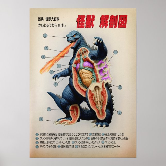 Póster Gracioso diagrama anatómico japonés de Kaiju (Frente)