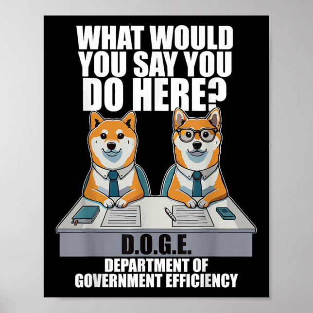 Póster Gracioso Doge Meme D.o.e., Departamento De Gobiern (Frente)
