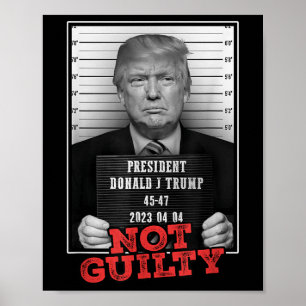 Póster Gracioso Donald Trump no es culpable de asesinato,