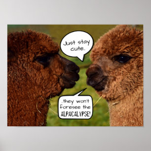 Póster Gracioso Esquema Alpacalypse