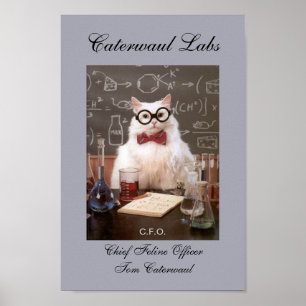 Póster Gracioso Gato CFO de Lab o Oficial Jefe de Línea