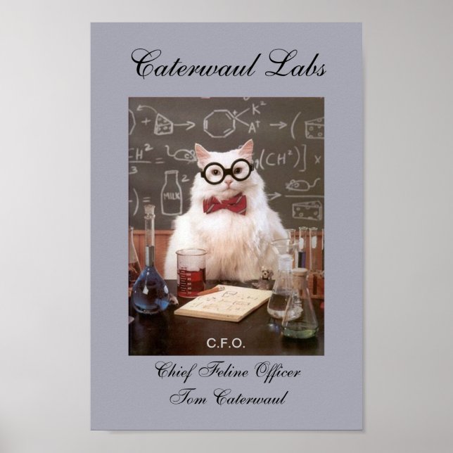 Póster Gracioso Gato CFO de Lab o Oficial Jefe de Línea (Frente)