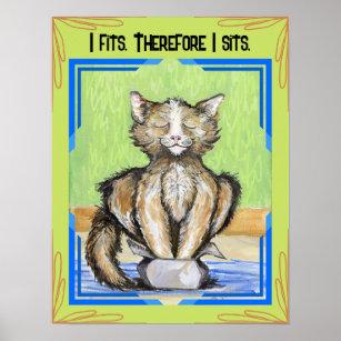Póster Gracioso Gato En Una Caja Muro Imagen Poster De De