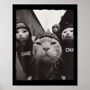 Póster Gracioso Gato Gangster Gráfico Gracioso Gratuito