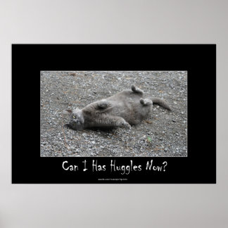 Póster Gracioso gato gris lindo Poster Huggles