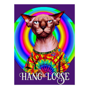 Póster Gracioso gato hippie Sphynx