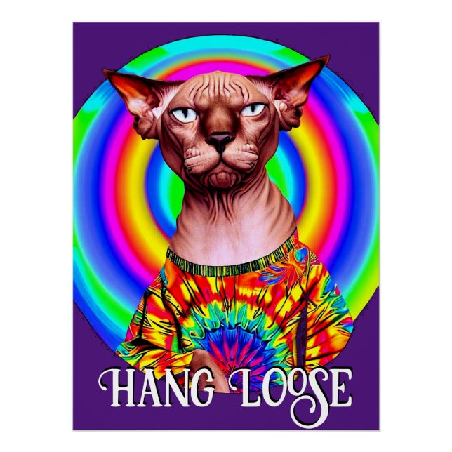 Póster Gracioso gato hippie Sphynx (Anverso)