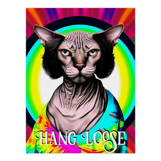 Póster Gracioso gato hippie Sphynx (Anverso)