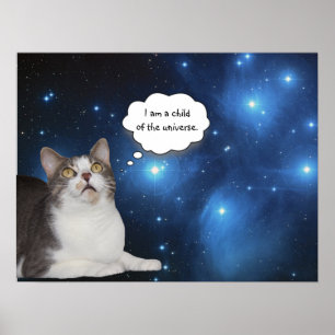 Póster Gracioso Gato Star Gazer