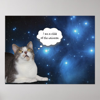 Póster Gracioso Gato Star Gazer