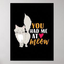Póster Gracioso Gato Y Gatito Amor Que Me Tuviste En Meow