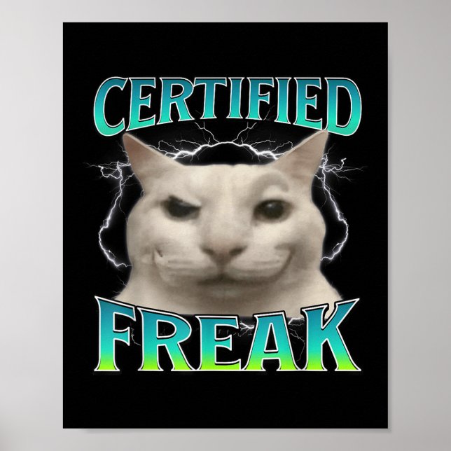 Póster Gracioso meme de gato Freak certificado maldice a  (Frente)