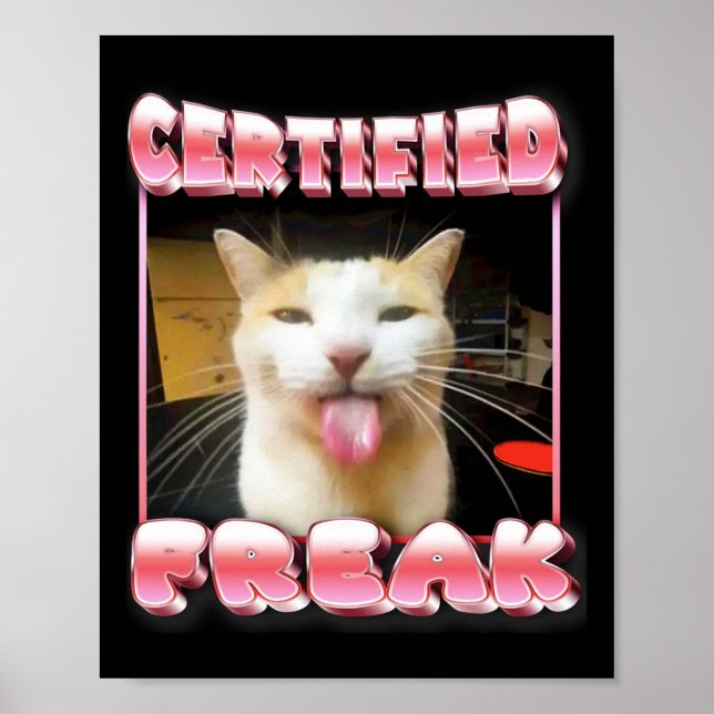 Póster Gracioso meme gato - Meme de gato Freak Funny cert (Frente)