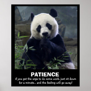 Póster Gracioso Poster de Panda, PACIENCIA
