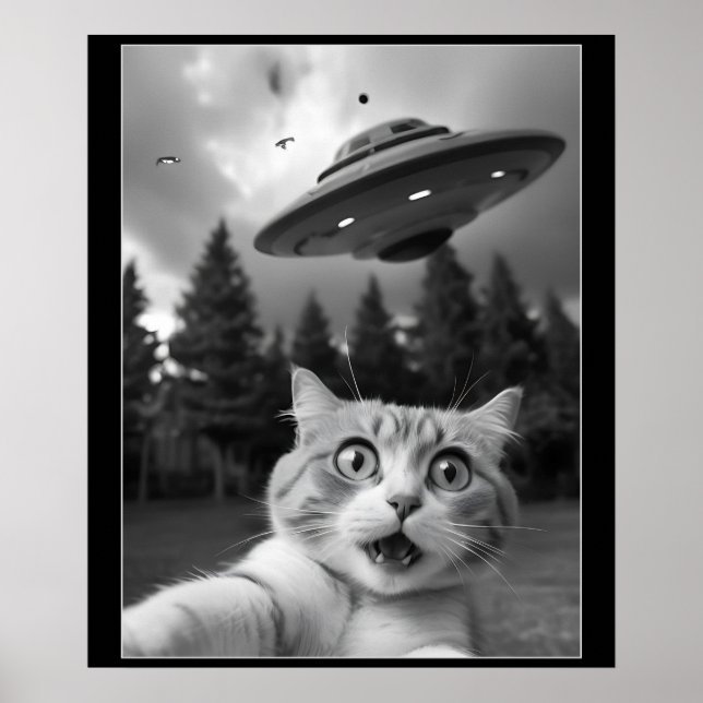 Póster Gracioso Selfie de gato con drones alienados de OV (Frente)