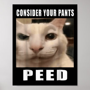 Póster Graciosos Memes De Gato Silly Para Los Diseños De