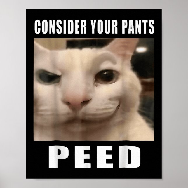 Póster Graciosos Memes De Gato Silly Para Los Diseños De  (Frente)