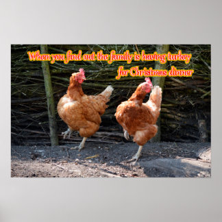 Póster Graciosos memes de pollo y gallos con divertidas i