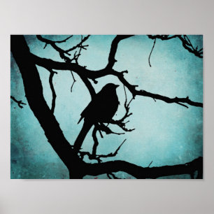 Póster Grackle